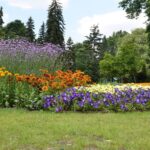 62275e434-2-150x150 Home Enterprise