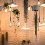 dekoraciok-150x150 Home Enterprise