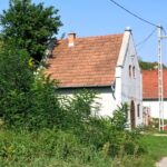 pincek-150x150 Home Enterprise